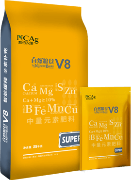 V8 SUPER