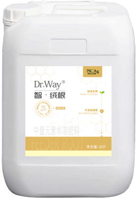 智·绒根