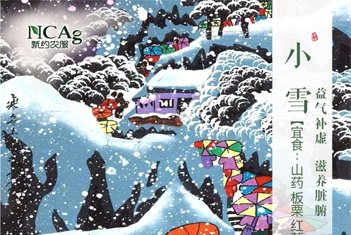 【智·节】小雪