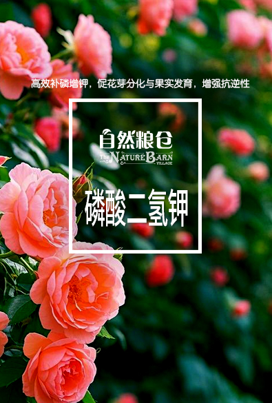 自然粮仓 磷酸二氢钾