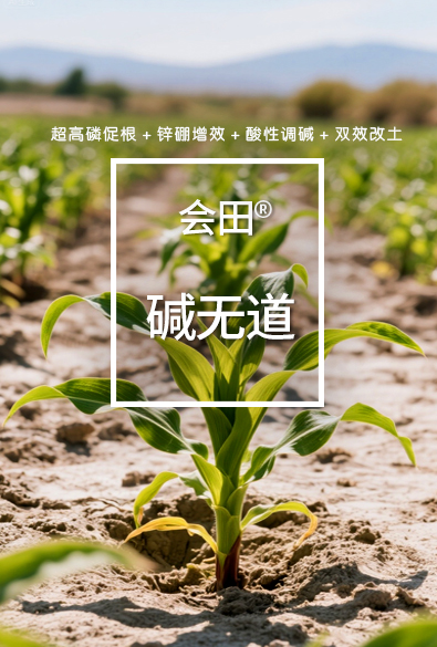 会田 碱无道