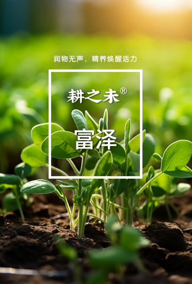耕之未 富泽系列