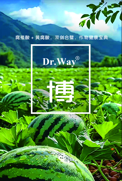 博系列