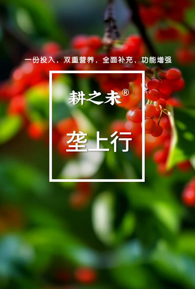 耕之未 垄上行系列