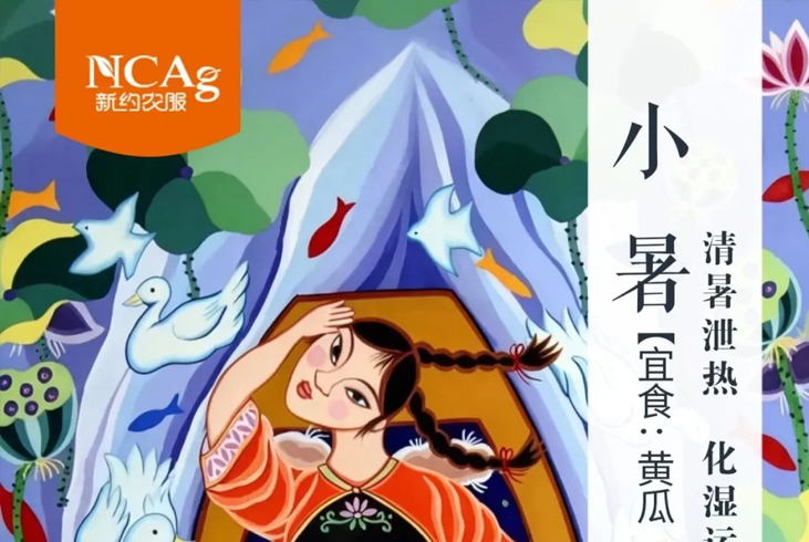 【智·节】小暑