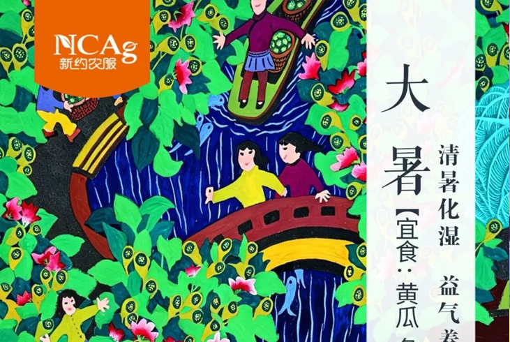 【智·节】大暑