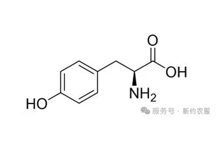 【智·农】酪氨酸简介