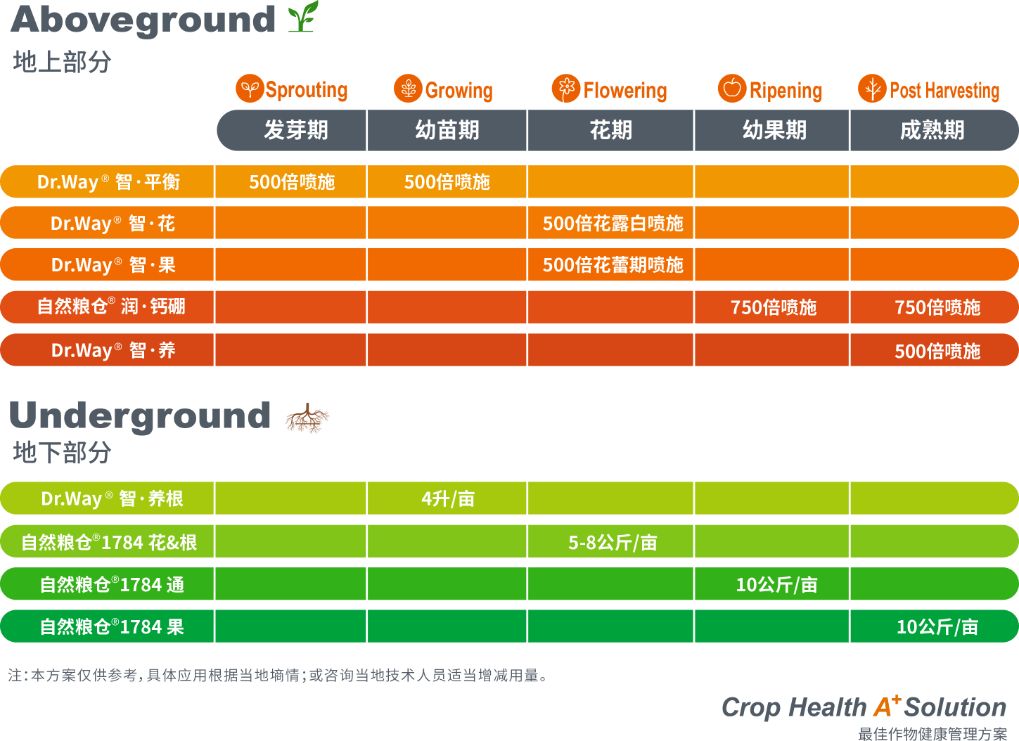 img_caomei2.png
