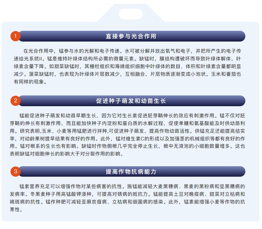 微信截图_20250122085247_看图王.jpg