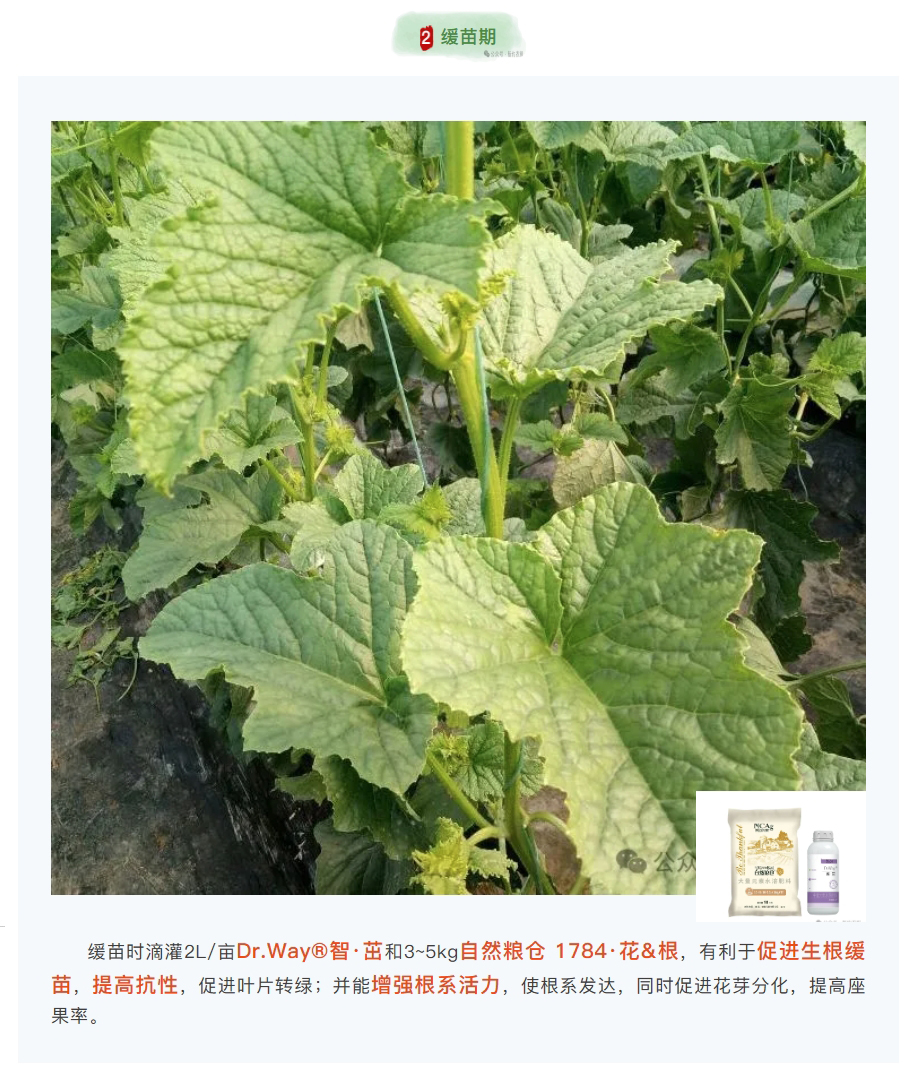 22_看图王.jpg