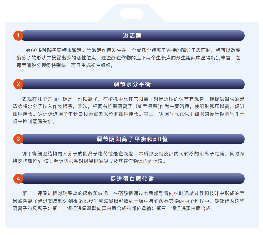 微信截图_20250124111423.jpg