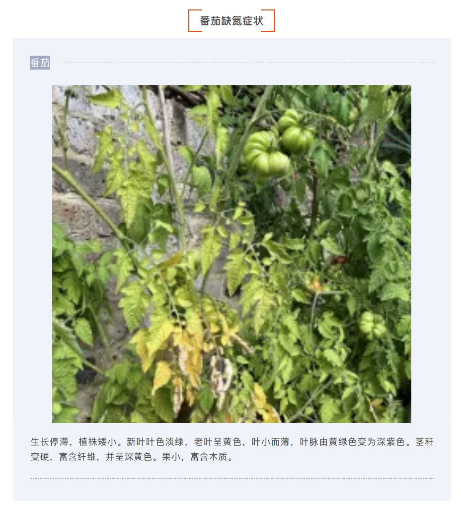 微信截图_20250126100347.jpg