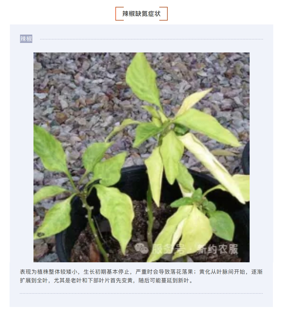 微信截图_20250126100831.jpg
