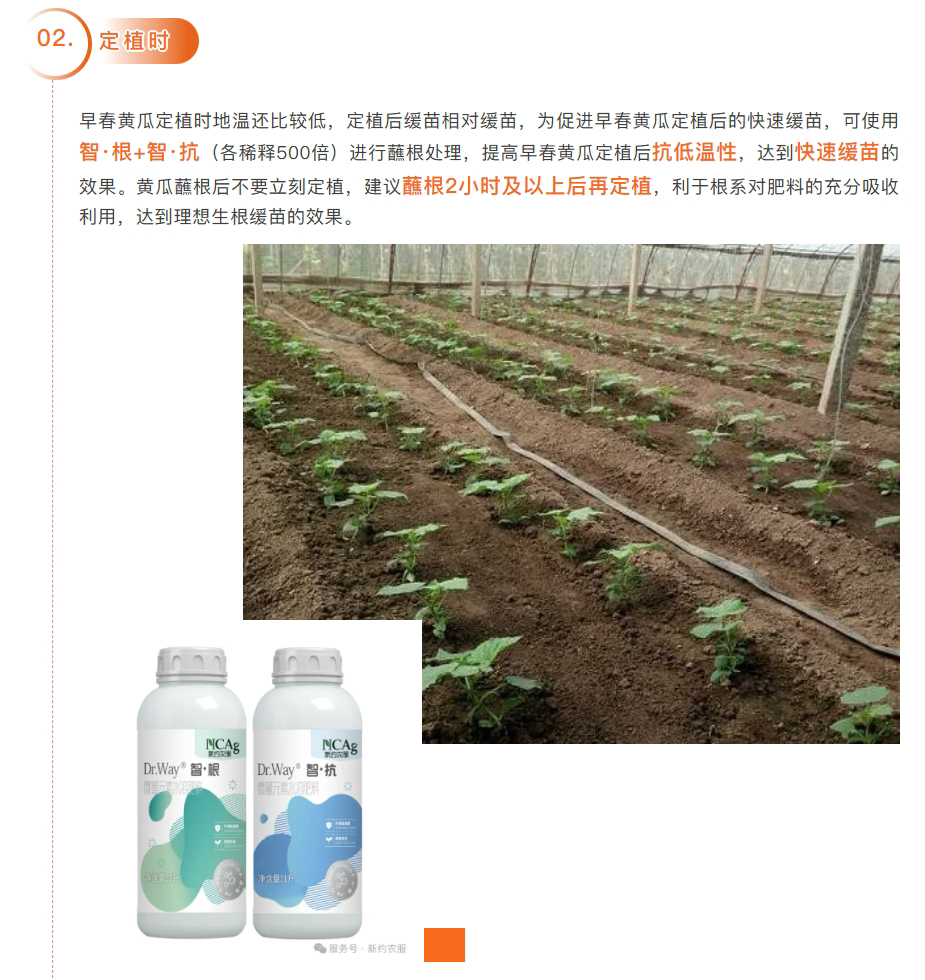 微信截图_20250126105021.jpg