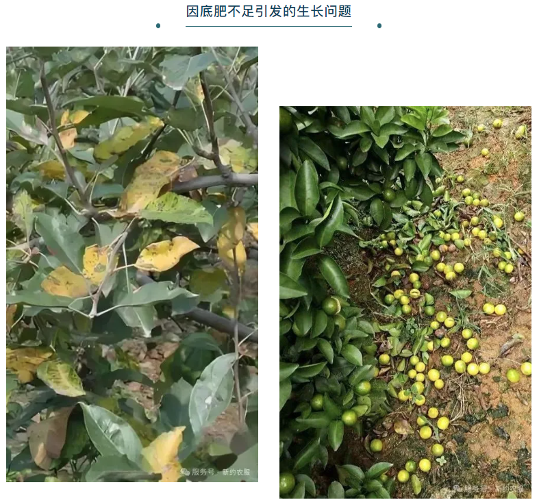 wechat_2025-08-07_130354_866.png