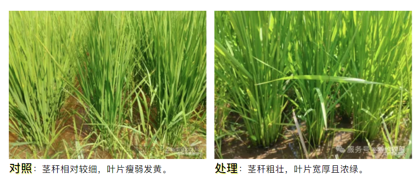 wechat_2025-08-28_163436_456.png wechat_2025-08-28_163436_456.png