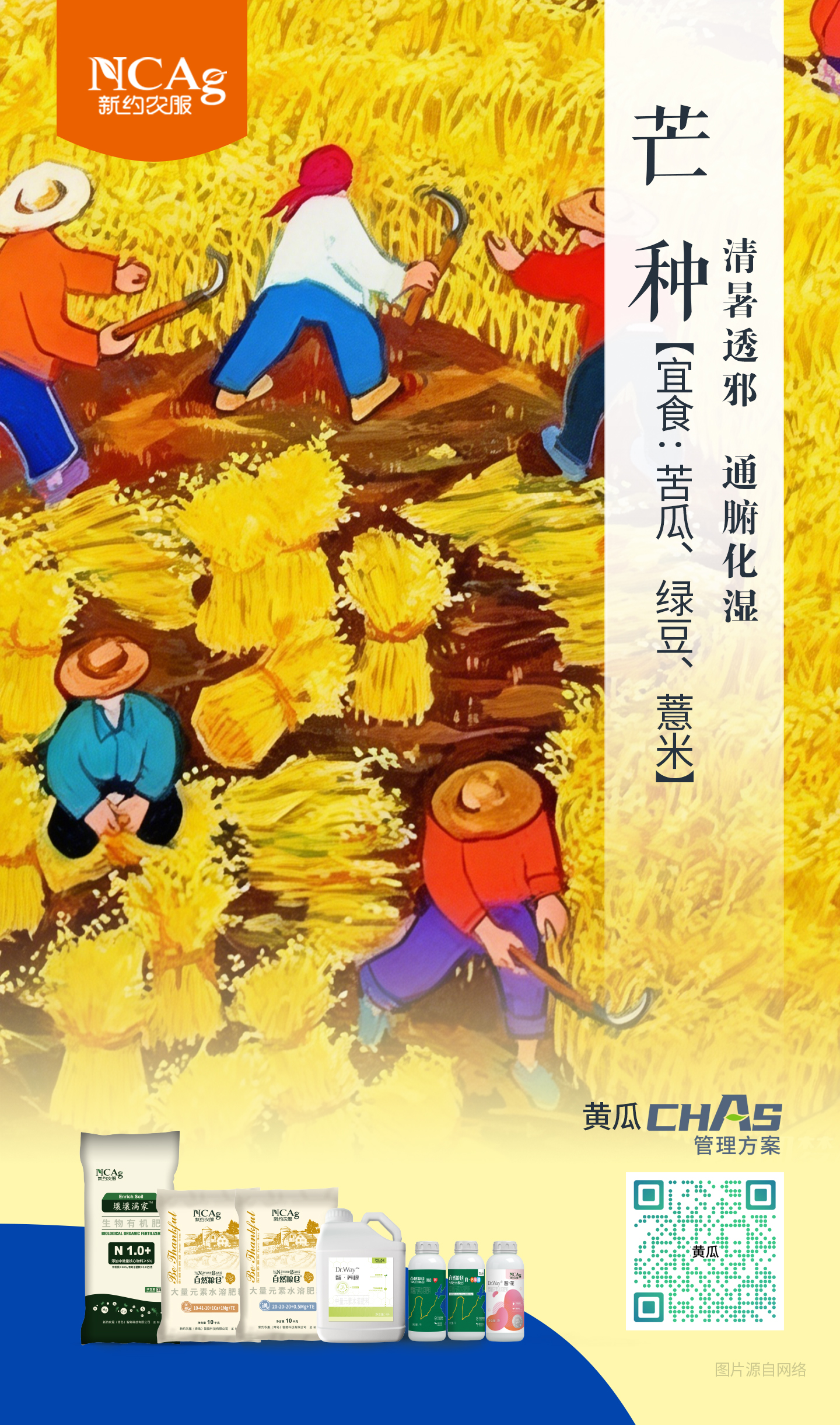 新约芒种.jpg